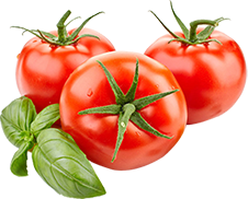 organic Tomato