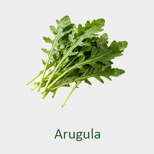 Arugula