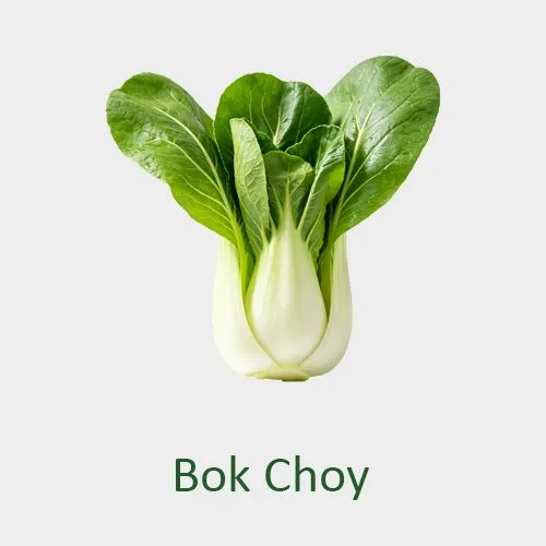 Bok choy