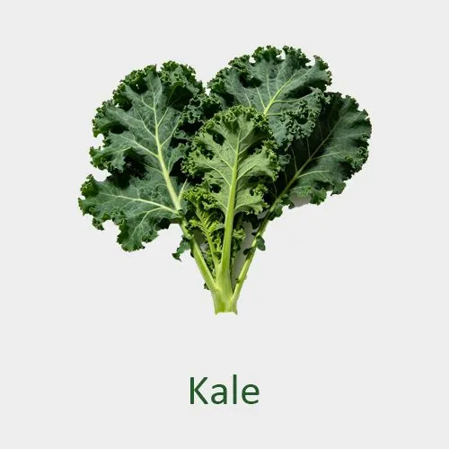 Kale