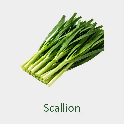 Scallion