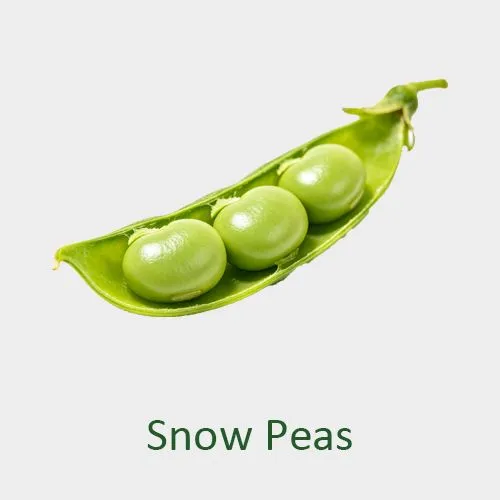 Snow Peas