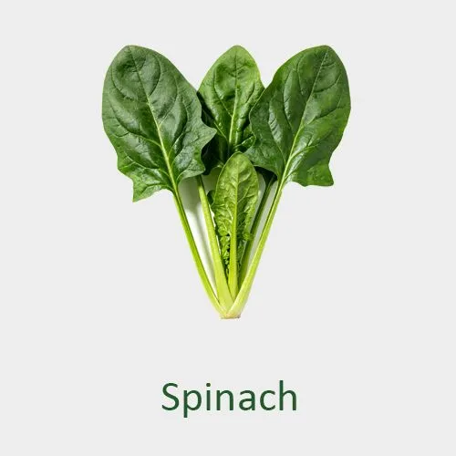 Spinach
